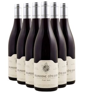 VIN ROUGE Domaine Bzikot Bourgogne Côte-d'Or 2022 - Vin Roug