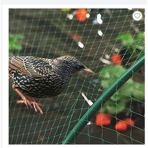 Filet Protection Oiseaux pour Arbre Fruitier Filets pour Jardin Potager  Filet de Couverture de Bassin,3x10m[622] - Cdiscount Jardin