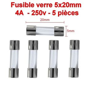 Aerzetix Lot de 10 fusibles semi-lents semi-retard/és semi-temporis/és en verre 2cm 20mm 5mm 5x20mm 220V 250V 0.250A 250mA