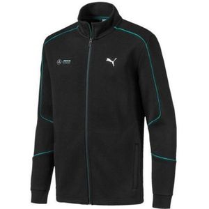 puma noire brillante