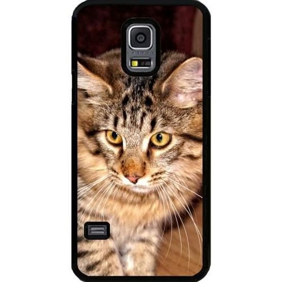 Coque Pour Samsung Galaxy S5 Mini Main Coon Chat Cdiscount Telephonie