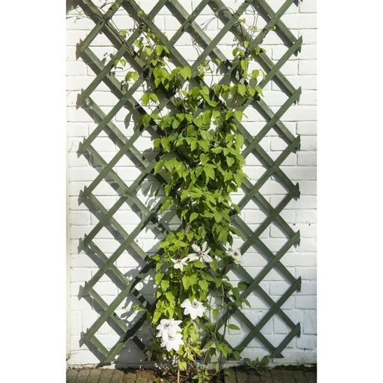 Nature Trellis de jardin Palissade de jardin pour Plantes Grimpantes et Rosiers - 50 x 150 cm Bois Vert classique💎7983