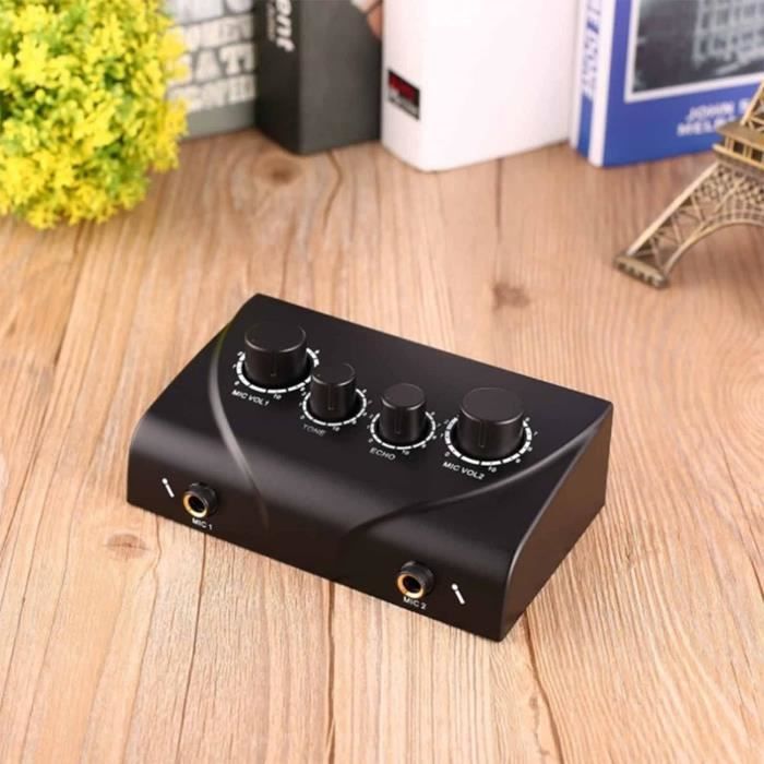 Machine à karaoké Mini mixeur Professionnel pour karaoké, mixeur d'écho