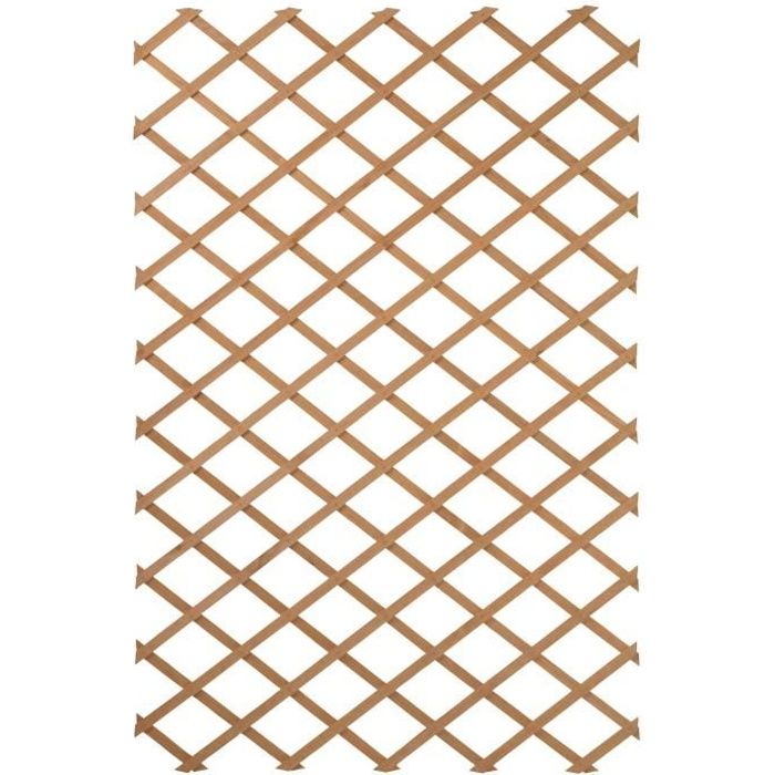 Nature Treillis de jardin 100 x 300 cm Bois Marron