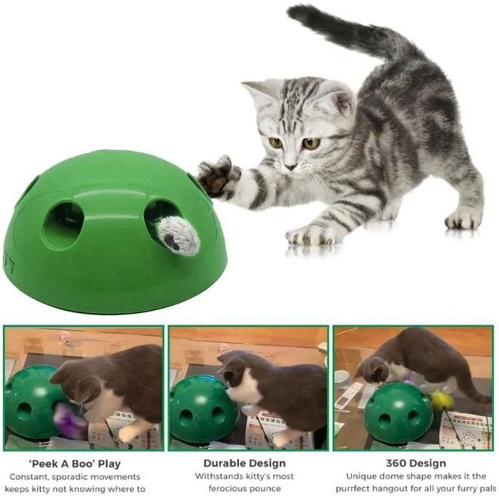 Pop N Play Jouet Electrique De Chat Drole Plateau De Chat Souris Artifact Pour Chat D Accompagnement Cdiscount Pop N Play Jouet Electrique De Chat Drole Plateau De Chat Souris Artifact Pour Chat D Accompagnement Cdiscount