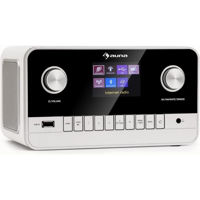 Radio Portable FM/DAB+ Avec Bluetooth 5.0 - Batterie 1000mAh, écran LCD, 40 Présélections, Entrée Casque