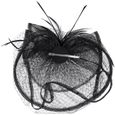 Femme Petit Chapeau Vintage Bibi Serre Tête Mariage avec Voilette Elégant Bandeau Fascinator Hat Coiffure Voile avec Plume Pin[506]-1