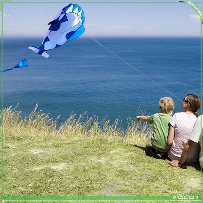 Lot De 2 Cerf Volant, Volants Avec Longue Queue Colorée Avec 100 M De