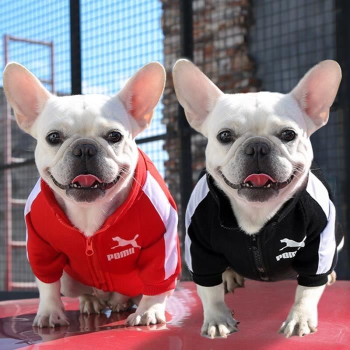 Red 3XL 9 11KG Vetements de luxe pour chien mode sweat shirt chaud pour petit pull a capuche de taille moyenne Design Chihuahua Cdiscount