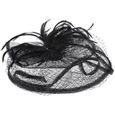 Femme Petit Chapeau Vintage Bibi Serre Tête Mariage avec Voilette Elégant Bandeau Fascinator Hat Coiffure Voile avec Plume Pin[506]-2
