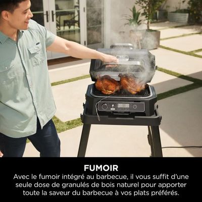 Bbq Electrique Exterieur Barbecue Électrique, Double Tube 2000W