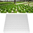 Éponge hydroponique carrée QQMORA - 100 pièces - Éponge PU pour jardinage en serre-0