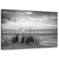 Tableau sur toile, Herbe sur la plage - noir et blanc (P-1126) 100x70 cm