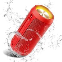 Enceinte Bluetooth Portable-Haut-parleur Bluetooth sans fil-Enceinte Étanche de Voyage/Fête Rechargeable-20H-Micro Antibruit-LED