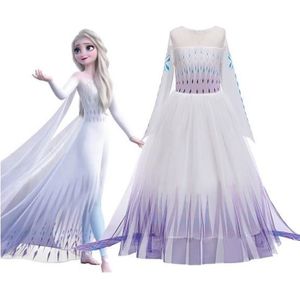 Costume de Cosplay Elsa de la Reine des Neiges pour Femme Adulte