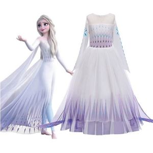 Robe princesse reine des neiges - Cdiscount