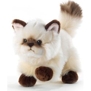 chat en peluche