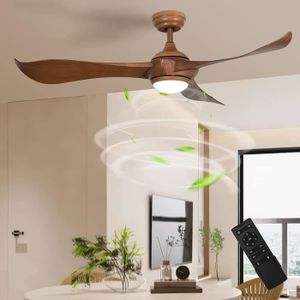 80W Ventilateur de plafond Timer LED Lampe de ventilateur avec