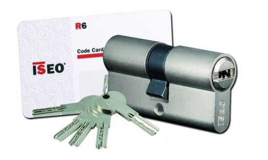 Iseo R6-Serrure De Sécurité Longue Came (nickel 50 X 50 Mm