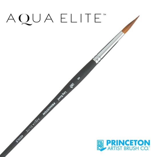Pinceau Aqua Elite Long rond synthétique série P4850 Princeton - nb:12