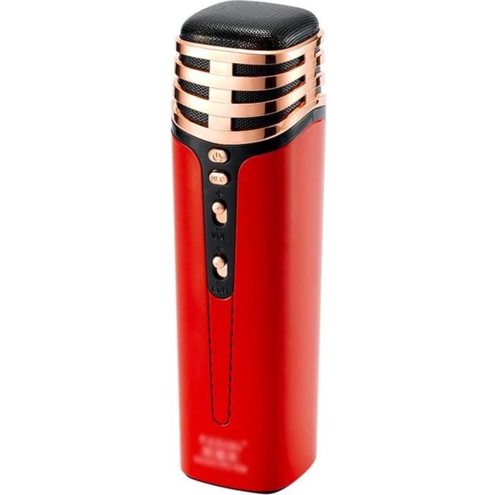 Microphone à écho Pour Enfants - Jouet Chant, Amplificateur Voix | Sans Piles, Sécurité