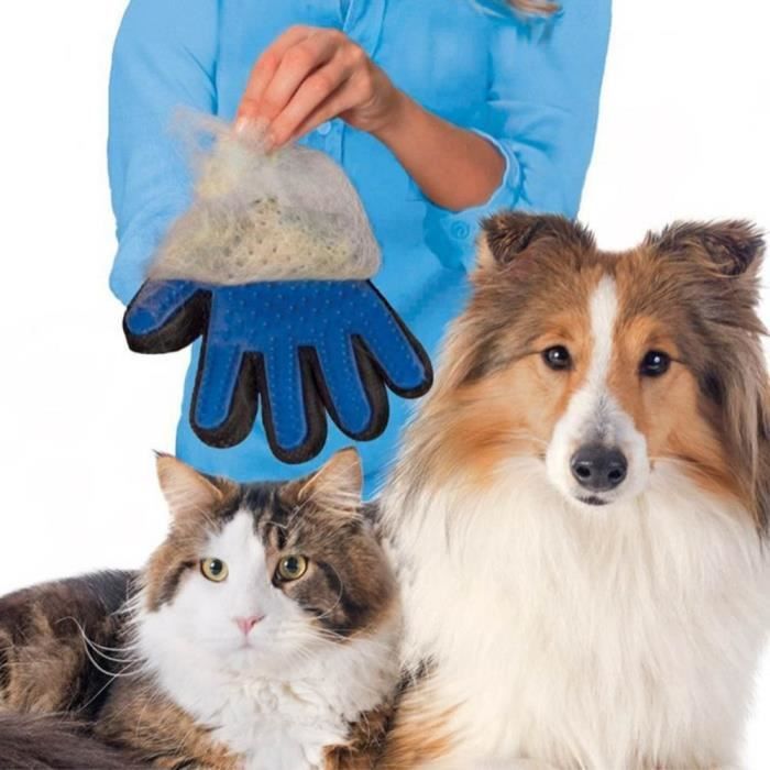 Gant de Toilettage massage brossage Chien chat animaux à poil - PROMO !!