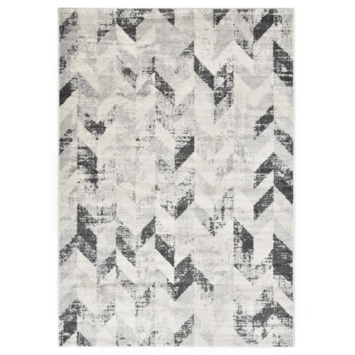 Tapis Tapis de sol Tapis de salon Gris et blanc 160x230 cm PP