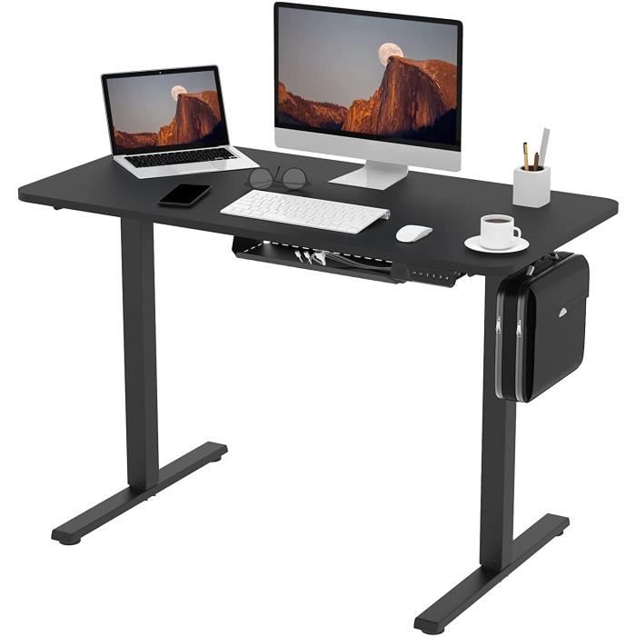 FLEXISPOT Bureau assis debout noir