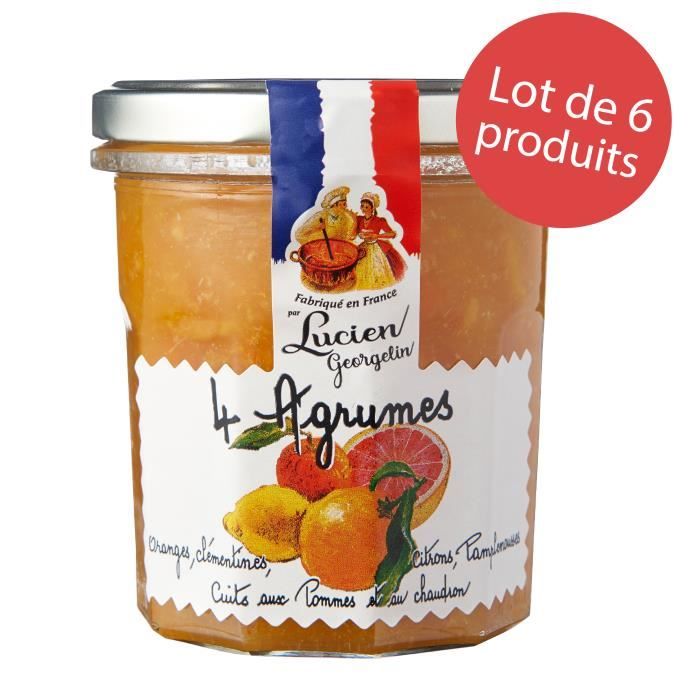 LOT 6 x Préparation 4 Agrumes 320g