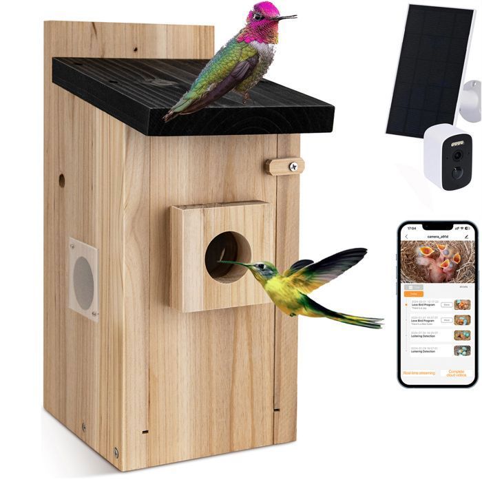 Nichoir oiseaux avec caméra WiFi 5MP panneau solaire vision nocturne application mobile maison bois jardin