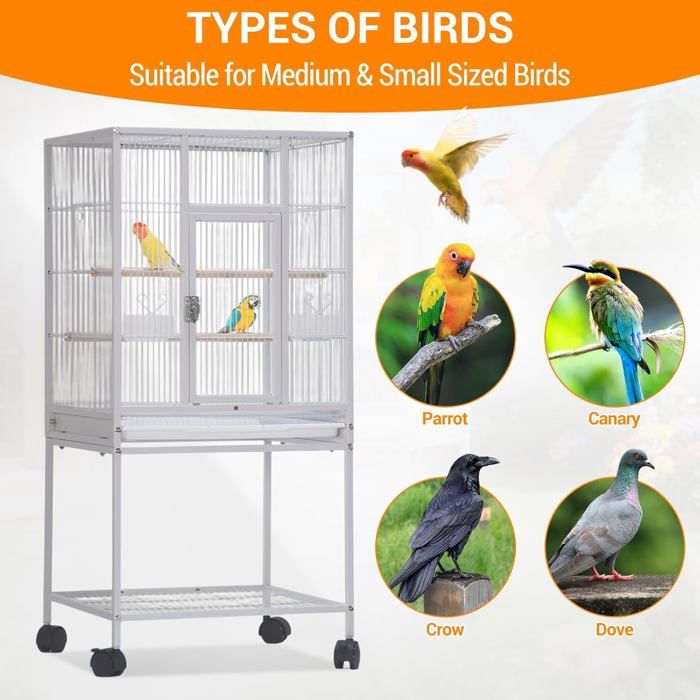 Cage à Oiseaux 41 Pouces - Grande Volière pour Perruches Perroquets Cockatiels - Roulettes & Plateau Nettoyable - Blanc