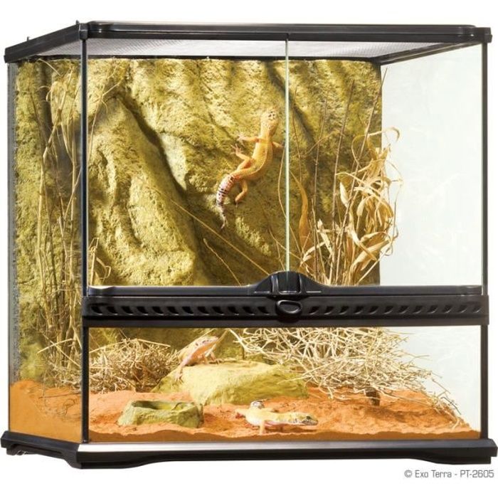 Terrarium Exo Terra 45x45x45cm Serpent Verre Noir Achat / Vente vivarium terrarium