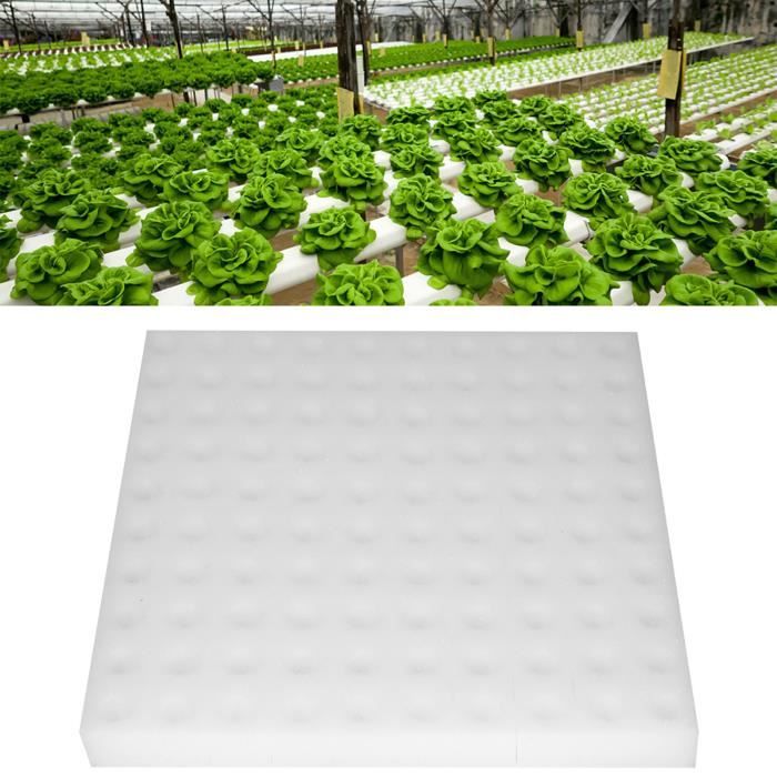 Éponge hydroponique carrée QQMORA - 100 pièces - Éponge PU pour jardinage en serre