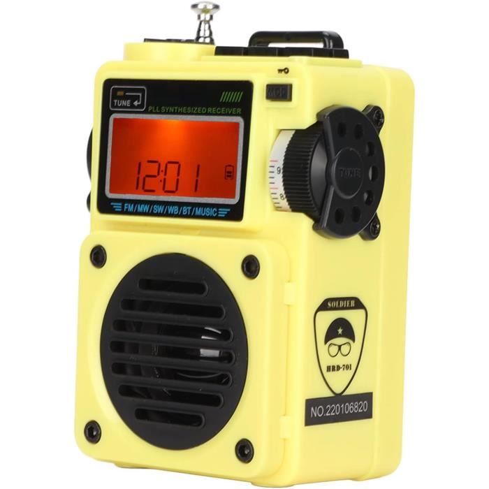 Radio Numérique Portable, Batterie Rechargeable, Radios Fm Alimentées