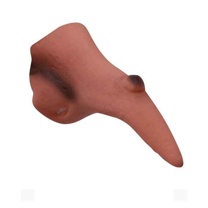 Nez Sorcière Avec Verrue Boland Nez De Sorcière En Silicone Boland - Avec Verrue Et élastique - Déguisement Halloween, Carnaval, Soirée à Thème Accessoire Halloween Silicone élastique