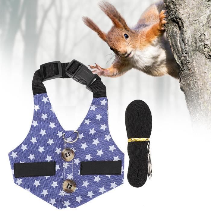 Start Harnais De Poitrine Cheval Réglable Cuir Avec Sangle Élastique - Confort Et Sécurité