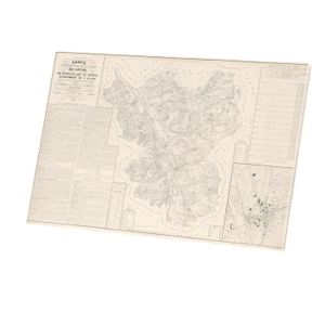 OBJET DÉCORATION MURALE Tableau Décoratif  03 Allier Département Carte Ancienne France Région (46 cm x 30 cm)