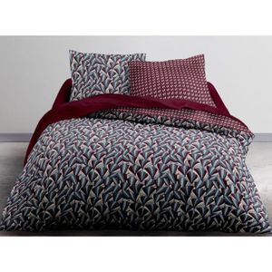 220x240 cm Beige//Blanc 82 GSM TODAY Crazy Agraba-Parure HC3 : Housse de Couette 220x240 2 Taies d/’Oreiller 100/% Polyester,