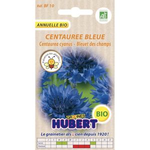 GRAINE - SEMENCE Graines De Centaurée Bleue Bleuet Des Champs Bio -