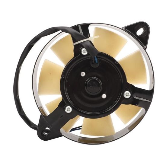 Ventilateur De Refroidissement Moteur 10 Pouces 12V 80W - 2100 RPM Universel