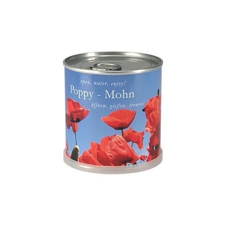 Coquelicots à faire pousser en boite