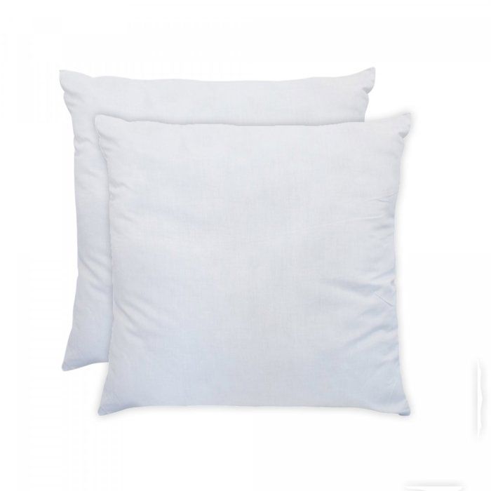 BLEU CALIN Lot de 2 oreillers Cliniguard 60x60 cm blanc