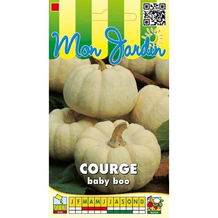 Graine - Semence - Mini Courge Baby Boo