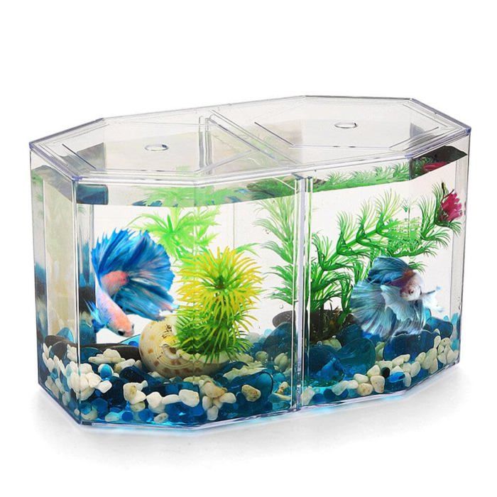 Aquarium de Bureau de Miniature: Petit Aquarium Betta avec Cloison Amovible pour Betta Poisson Rouge - pour Enfants Débutants
