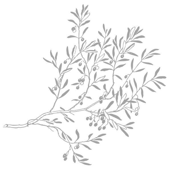 Sticker Branche D Olivier Olive 50x50 Cm Gris Arb009 Achat Vente Stickers Soldes Sur Cdiscount Des Le 20 Janvier Cdiscount