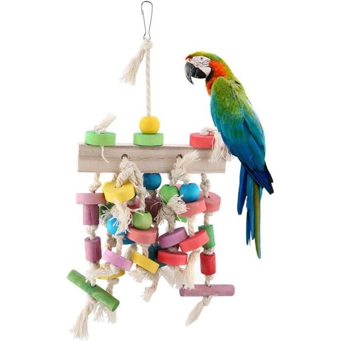 Perroquet jouet balançoire échelle suspendue couleur vive jouet à mâcher, jouet à mâcher en bois, pour oiseaux de compagnie