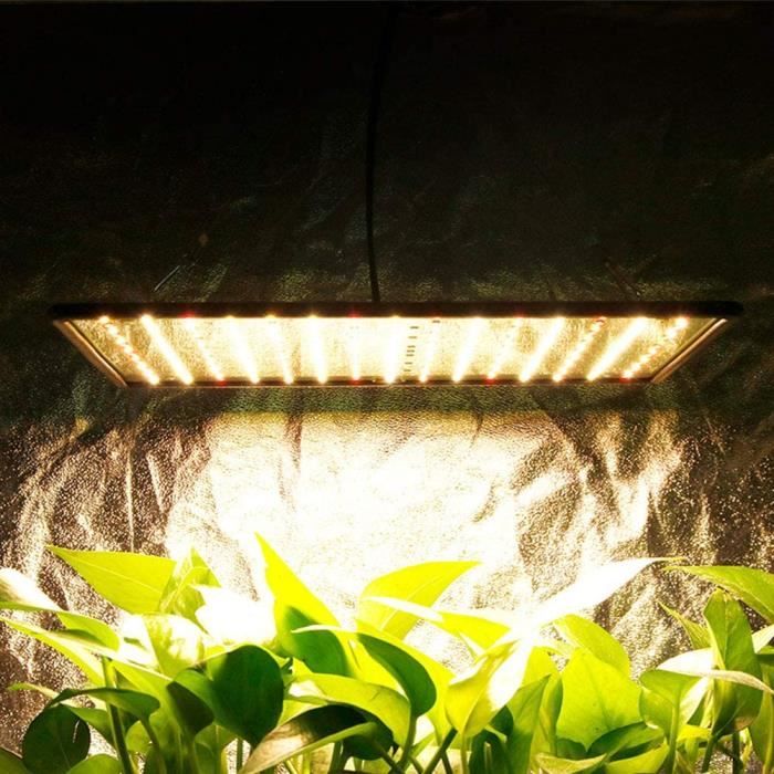 Lampe de culture 1000W 3500K, 225 LED à spectre complet élèvent la lumière  pour les plantes d'intérieur Veg and Flower Hydroponic608 - Cdiscount Jardin