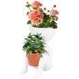 Pot de fleur d'intérieur jardinière succulente petit pot de jardin décoratif contenant pots de plante mignons Pot de fleur en résine-0