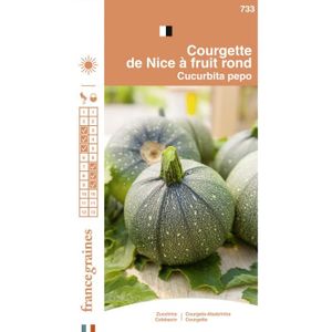 GRAINE - SEMENCE France Graines - Courgette De Nice