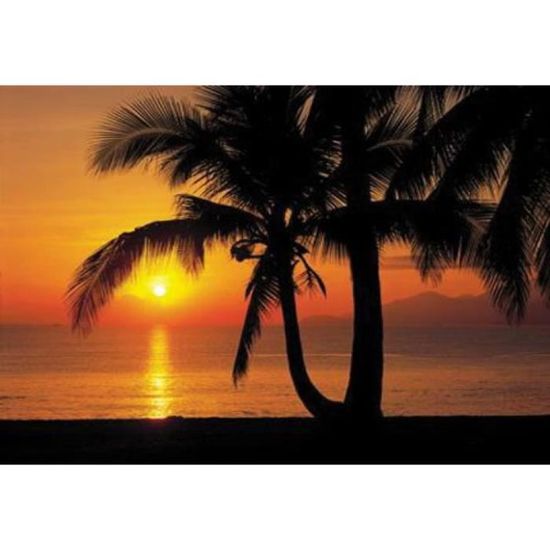 Get Cocotier fond d ecran plage coucher de soleil For iPhone